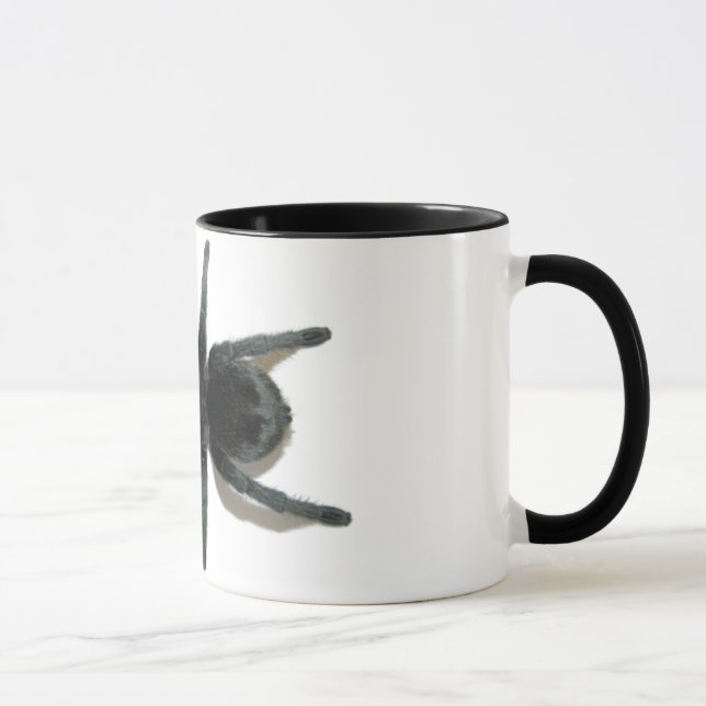 Caneca - pulchra de Grammostola (preto brasileiro) (Direita)