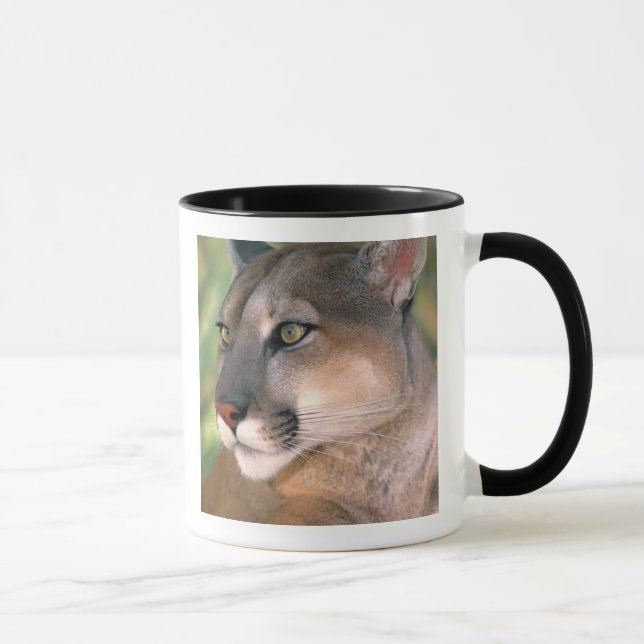 Caneca Puma, Califórnia (Direita)