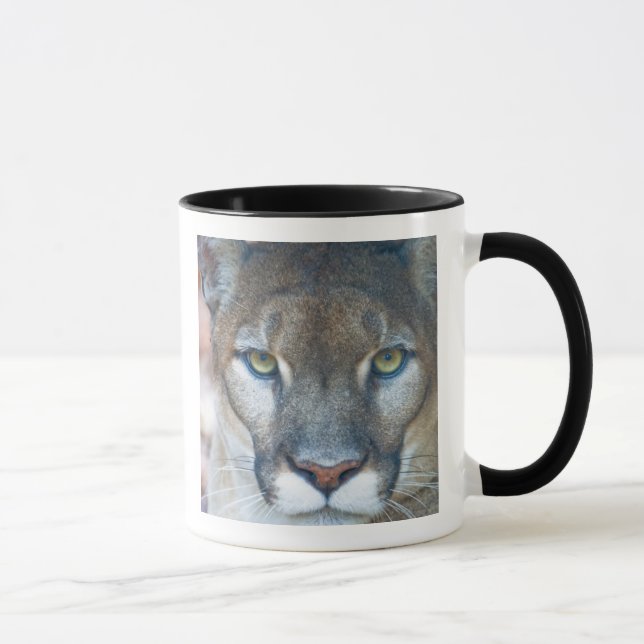 Caneca Puma, leão-da-montanha, pantera-da-flórida, Puma (Direita)