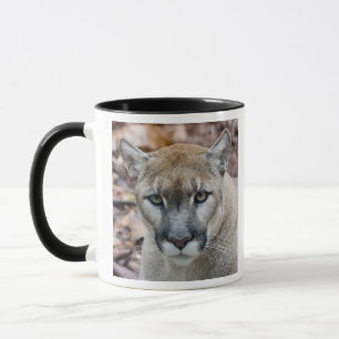 Caneca Puma, leão-da-montanha, pantera-da-flórida, Puma