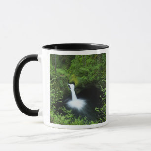 Caneca Punchbowl Falls no Eagle Creek, Rio Columbia