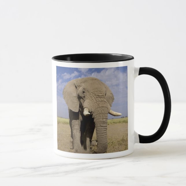 Caneca Quênia: Parque Nacional de Amboseli, elefante masc (Direita)