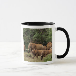 Caneca Quênia: Parque Nacional de Tsavo East, manada Afri