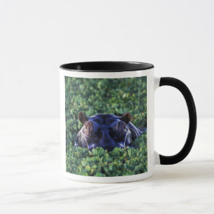 Caneca Quênia, Reserva Nacional Masai Mara.