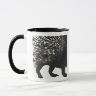 Caneca Quills do porco-