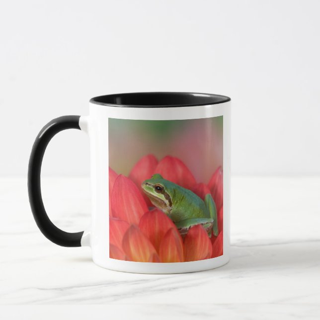 Caneca Rã-arbórea-do-pacífico sobre flores no jardim (Esquerda)