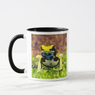 Caneca Rã-tinta, Dendrobates tinctorius,