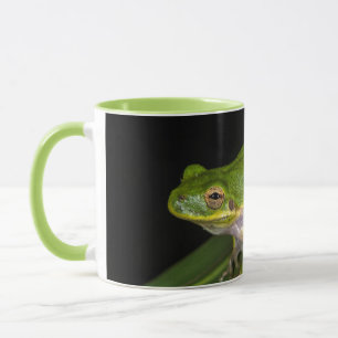 Caneca Rã-verde (Hyla cinerea) 2