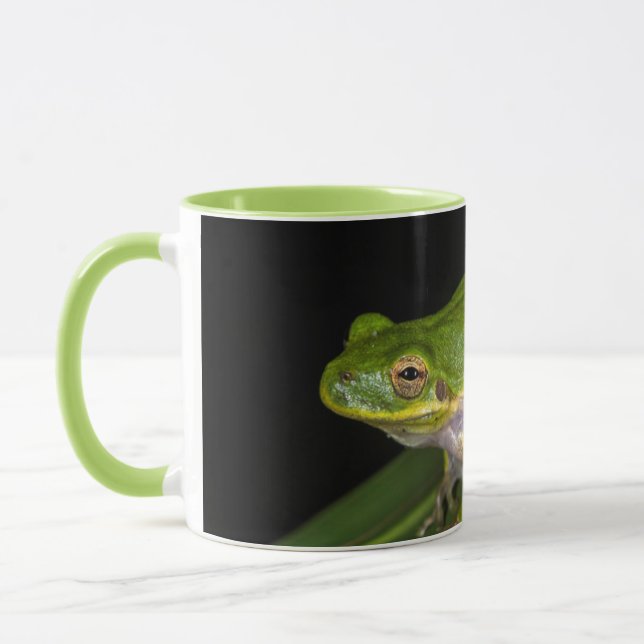 Caneca Rã-verde (Hyla cinerea) 2 (Esquerda)
