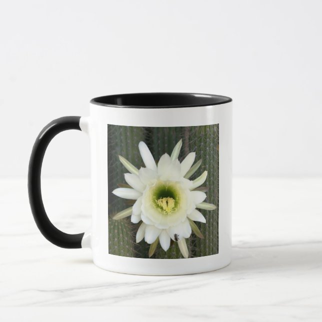 Caneca Rainha Da Flor De Cacto Noturno, Região Karoo (Esquerda)