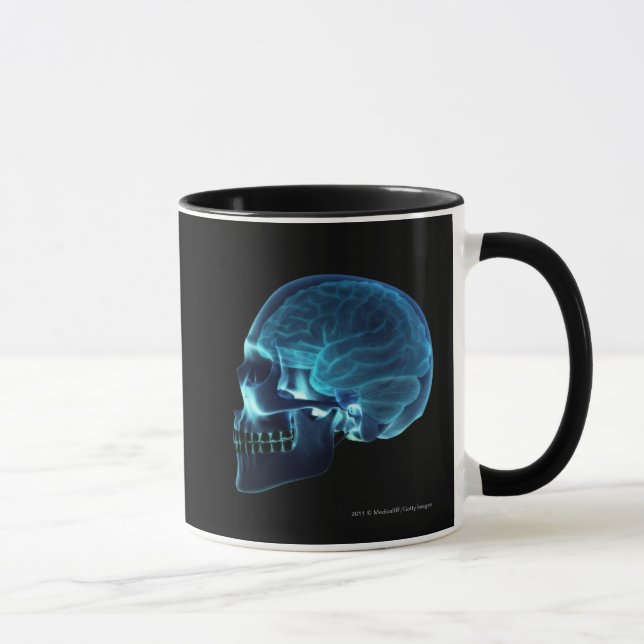 Caneca Raio X do cérebro dentro de um crânio (Direita)