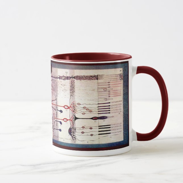 Caneca Ramon Y Cajal (Direita)