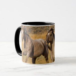 Caneca Ranch Living no Ranch Ponderosa