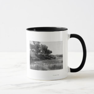 Caneca Rancho do T do bar na fotografia da angra do
