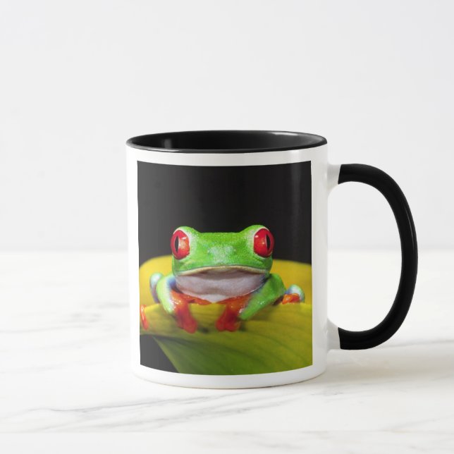 Caneca Red Eye Treefrog, Agalychinis callidryas, Nativo (Direita)