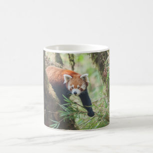 Caneca Red Panda