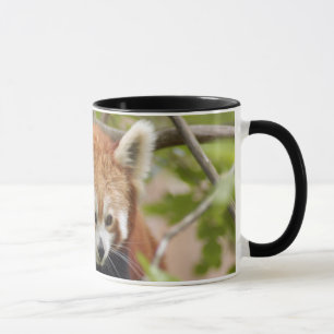 Caneca red-panda-023