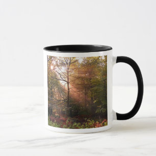 Caneca Reino Unido. Floresta de Dean. Feixe de sol que pe