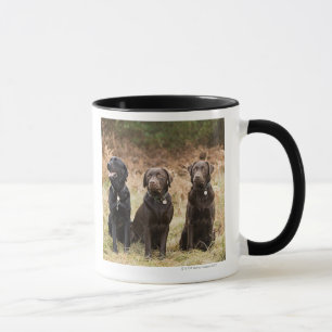 Caneca Reino Unido, Inglaterra, Suffolk, floresta de