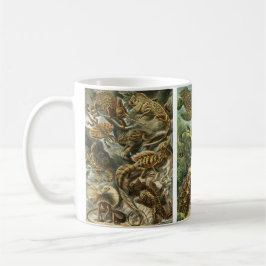 Caneca Répteis e Anfíbios Vintage de Ernst Haeckel
