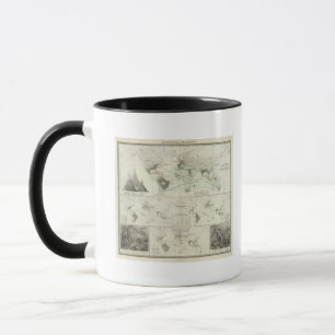 Caneca Reptilia, Ophidia