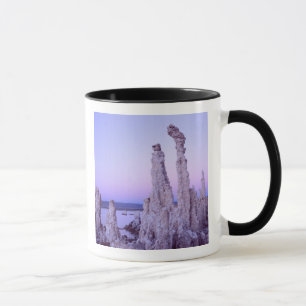 Caneca Reserva do Mono Lake. Califórnia. EUA. Tufa