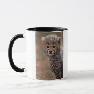 Caneca Reserva nacional de Mara do Masai