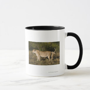 Caneca Reserva nacional de Mara do Masai, Kenya