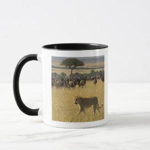 Caneca Reserva nacional de Mara do Masai, Kenya, África