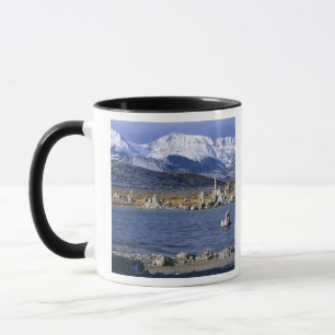 CANECA RESERVA NATURAL ESTADUAL DE TUFA DO LAGO MONO,