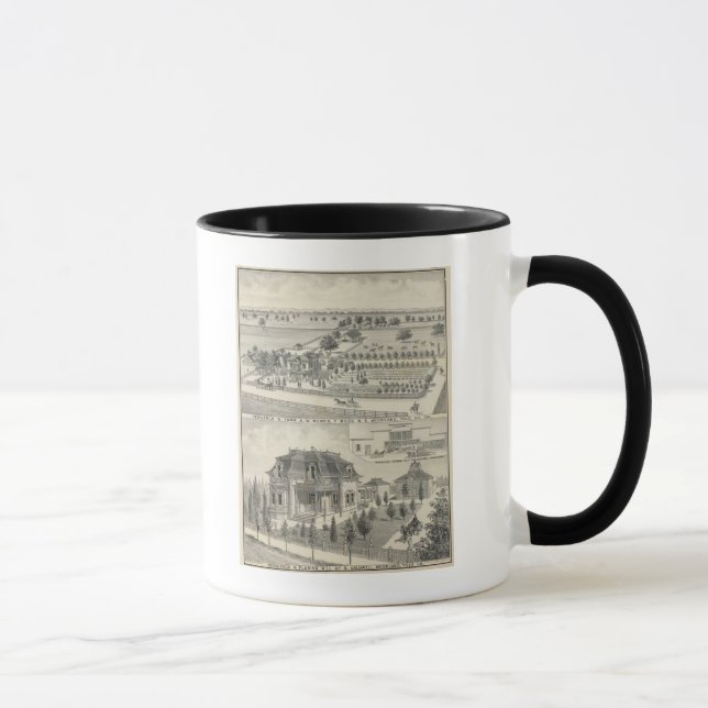 Caneca Residências florestais, fazendas (Direita)