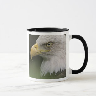 Caneca Retrato de Águia Americana Adulta, Haliaeetus