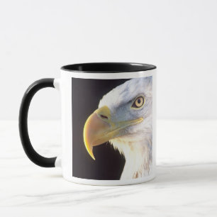 Caneca Retrato de Águia Americana, Haliaeetus leucocephal