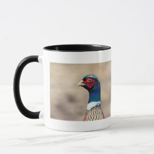 Caneca Retrato de faisão