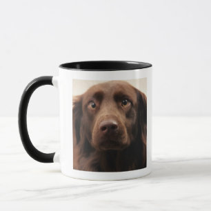 Caneca Retrato de uma fêmea nova apreensiva
