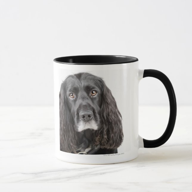 Caneca Retrato do estúdio de cocker spaniel (Direita)