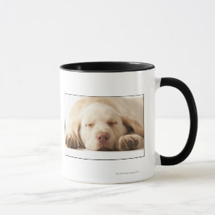 Caneca Retrato do estúdio de labrador retriever amarelo