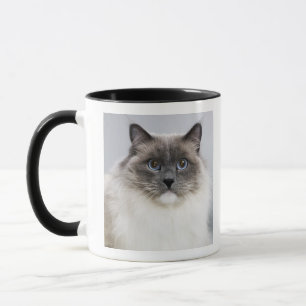 Caneca Retrato do gato de Ragdoll
