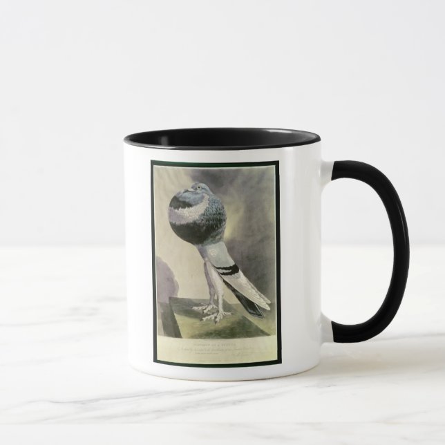 Caneca Retrato do pombo do Pouter (Direita)