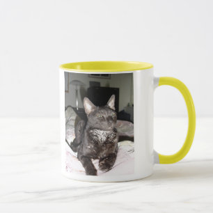 Caneca Rex Cornish adorável