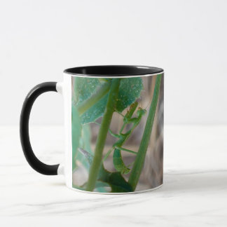 Caneca Rezando Mantis Mug