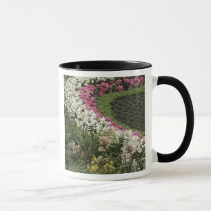 Caneca Rhododendron (Rhododendron catawbiense) Charneca