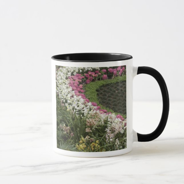 Caneca Rhododendron (Rhododendron catawbiense) Charneca (Direita)