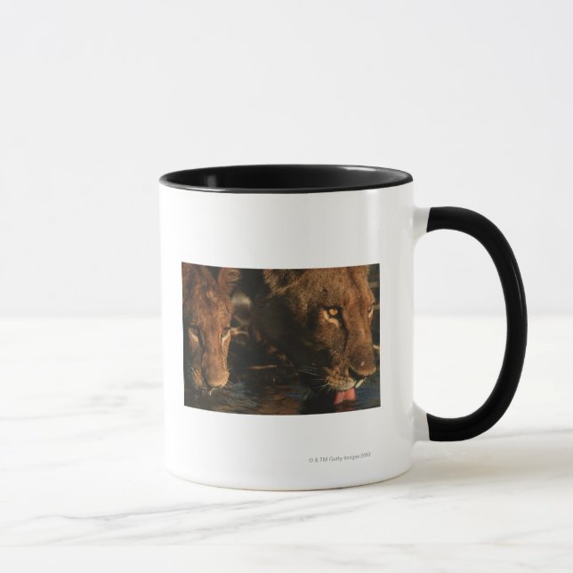 Caneca Rio de Khwai, reserva dos animais selvagens de (Direita)