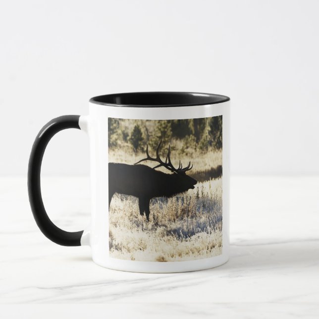 Caneca Rio de Madison, Yellowstone NP, Wyoming, EUA (Esquerda)