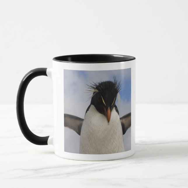 Caneca Rockhopper Penguin Eudyptes chrysocome (Esquerda)