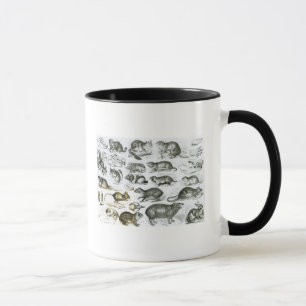 Caneca Rodentia-Roedores ou animais de roedura