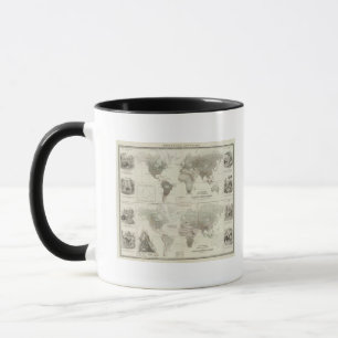 Caneca Rodentia, Ruminantia