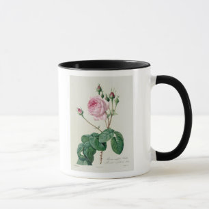 Caneca Rosa Centifolia Bullata