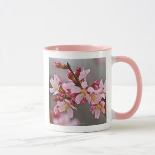 Caneca Rosa Contra Uma Cinza Céu Japonês Blossomas De Cer